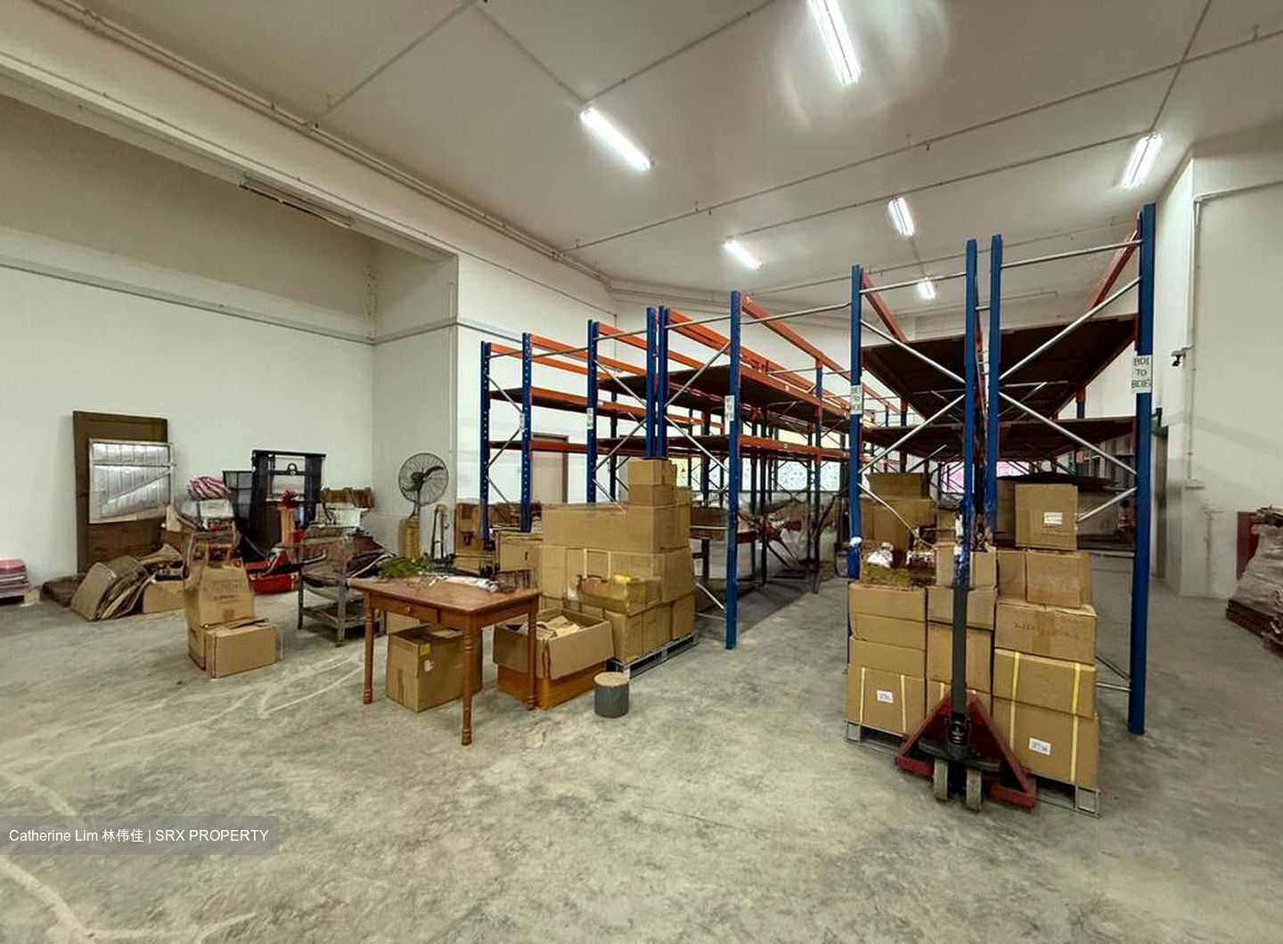 Focus One (D14), Factory #496205411